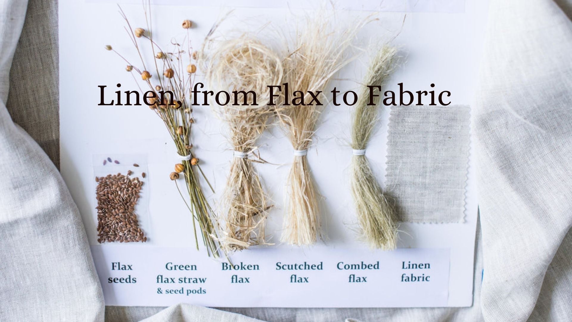 linen from flax to fabric linen process to make create linen from seed, linen field to fabric linen